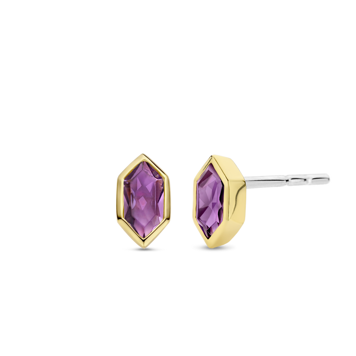 TI SENTO Earrings 7944PU