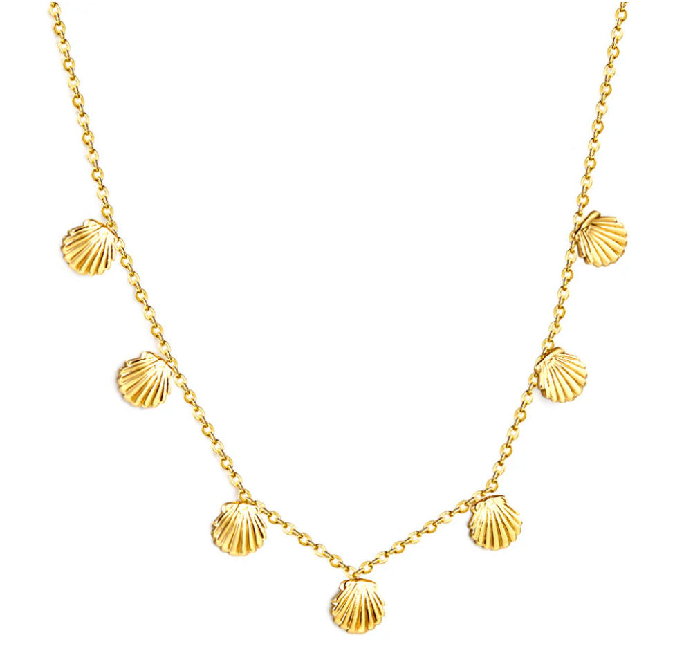 Seashell Charm Steel Necklace