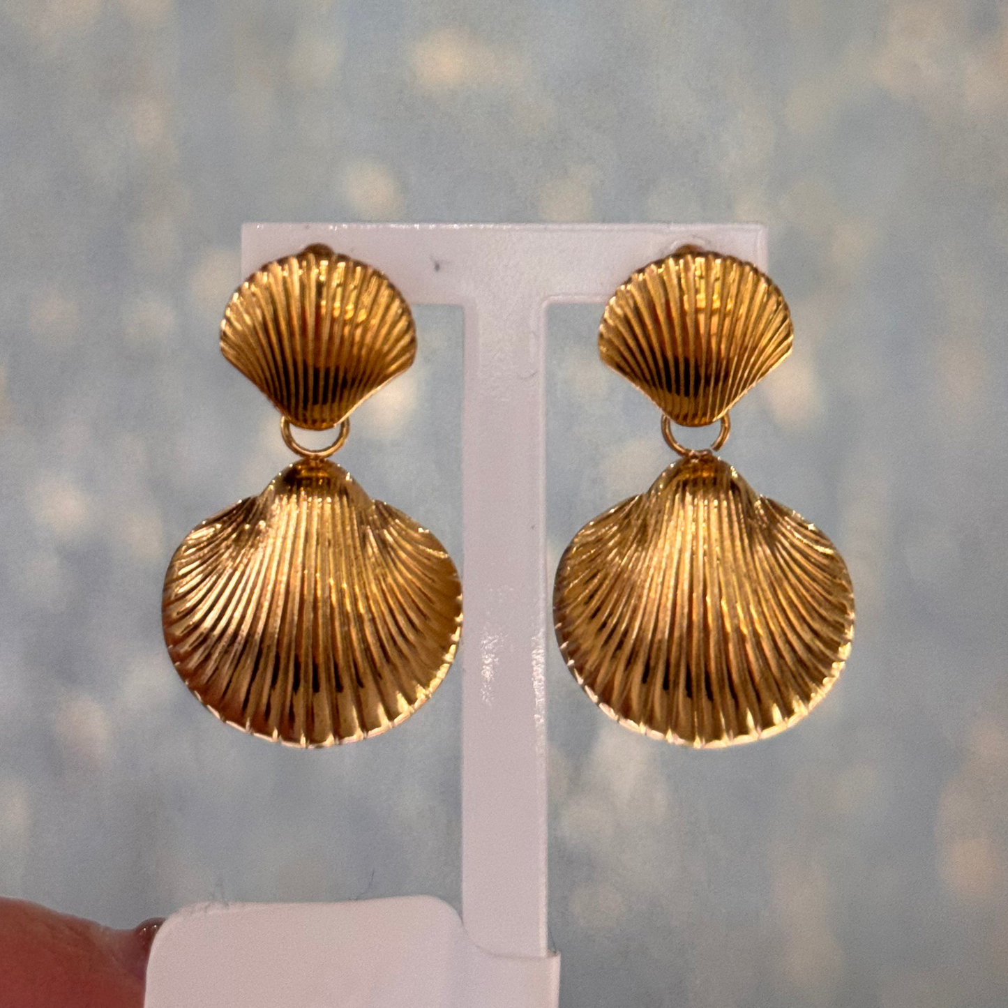 Seashell Earrings