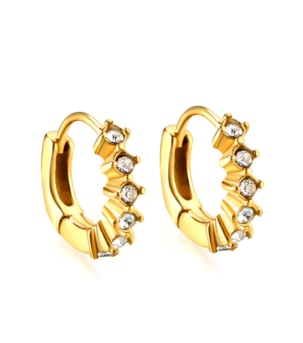 Mini Hoops Earrings