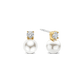 Ti Sento Earrings 78060YP