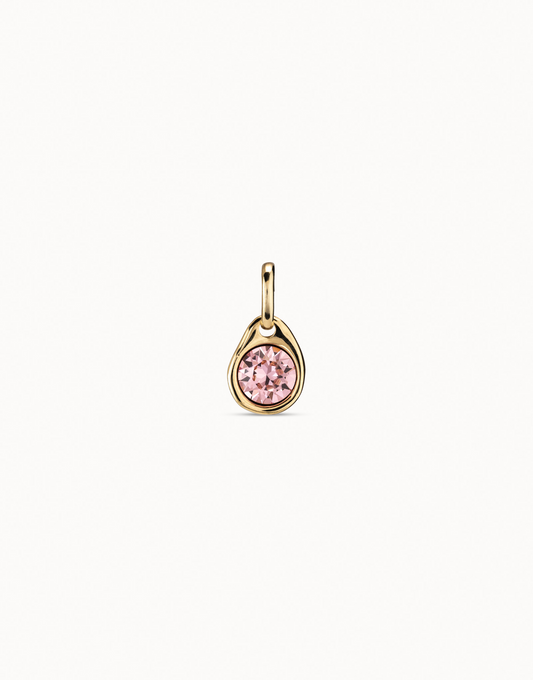 CHARM ROSA CHA0079