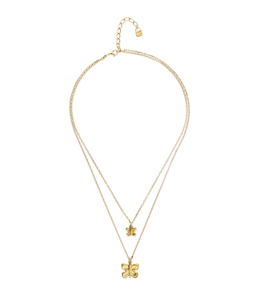 Double necklace with butterflies COL2057