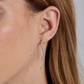 Brosway Earrings BEIE031