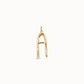 Large A Initial Charm CHA0001