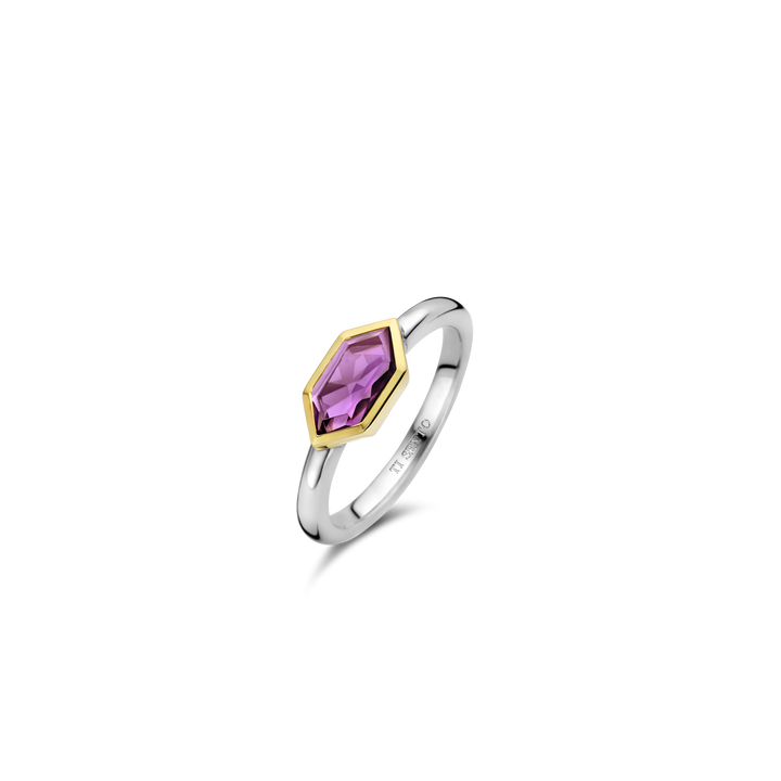 Sentio Rings TI SENTO RINGS 12312PU – Fabriola's