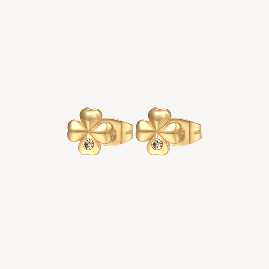 EARRINGS CHAKRA BHKE043