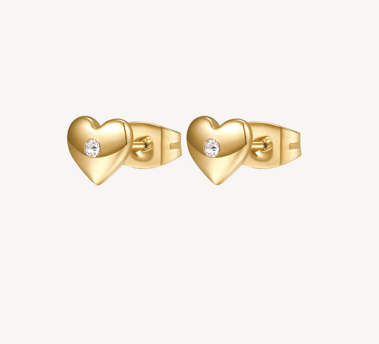 BROSWAY EARRINGS BHKE040